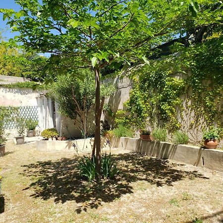Appartement Au Coeur De Cassis Avec Jardin Ngoại thất bức ảnh