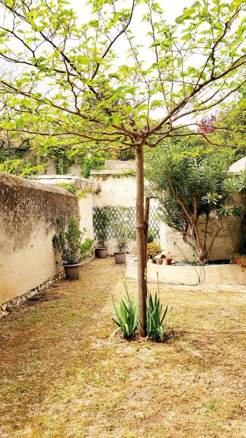 Appartement Au Coeur De Cassis Avec Jardin Ngoại thất bức ảnh